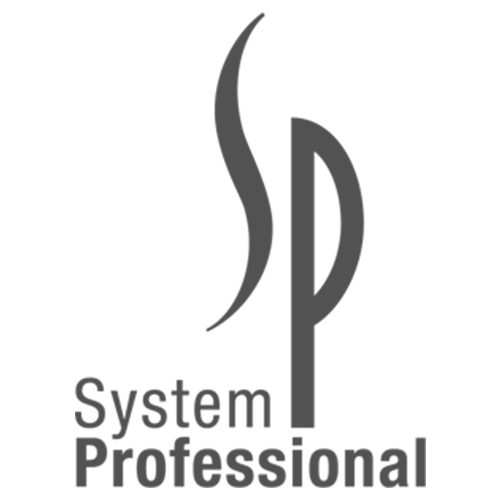 Logo System Professional (SP)